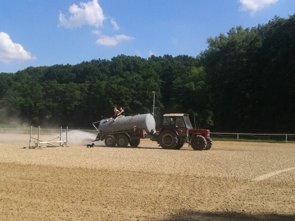 JK ProHorses Galerie 9