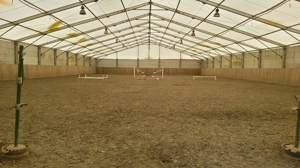 JK ProHorses Galerie 4